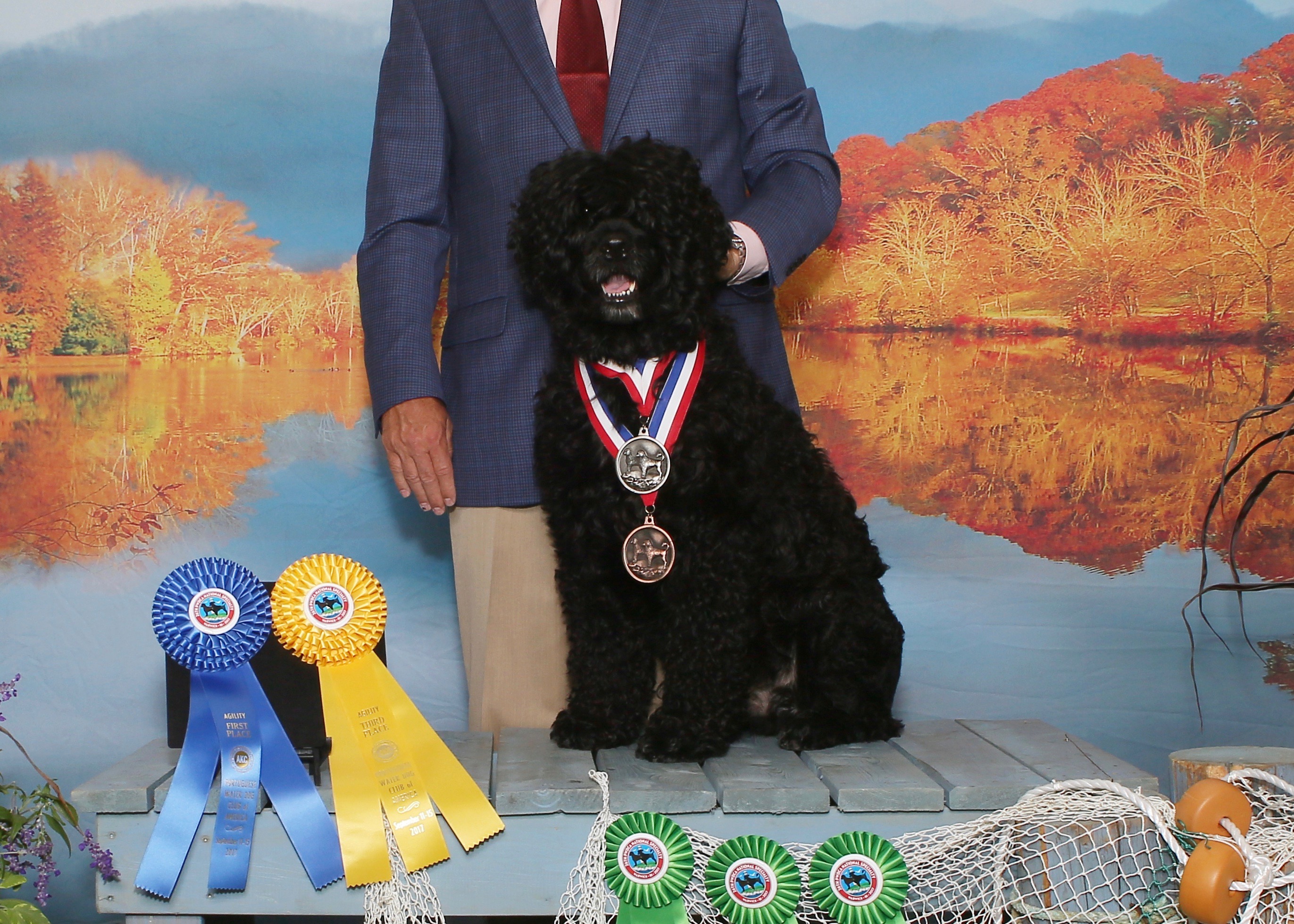  GCHG CH Aviator's Blackjack Legacy CD BN RE OA OAJ XF CGCA CGCU TKA ATT SCN RLI WWDX MWD5 AOM MAC-4 GROM 